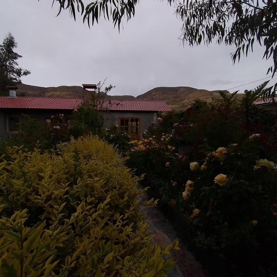 بوتري Hostal Vientos Del Altiplano المظهر الخارجي الصورة