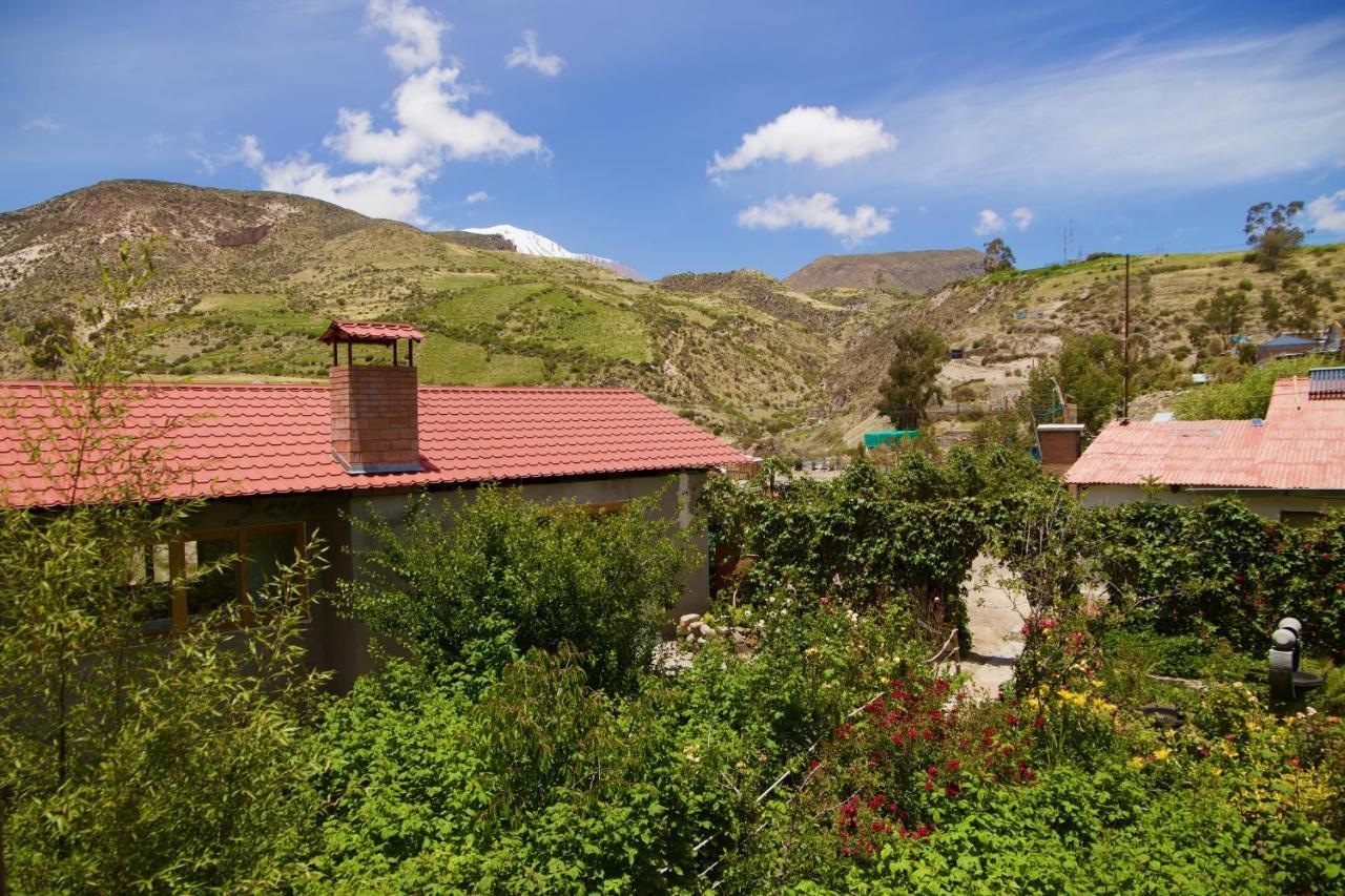 بوتري Hostal Vientos Del Altiplano المظهر الخارجي الصورة