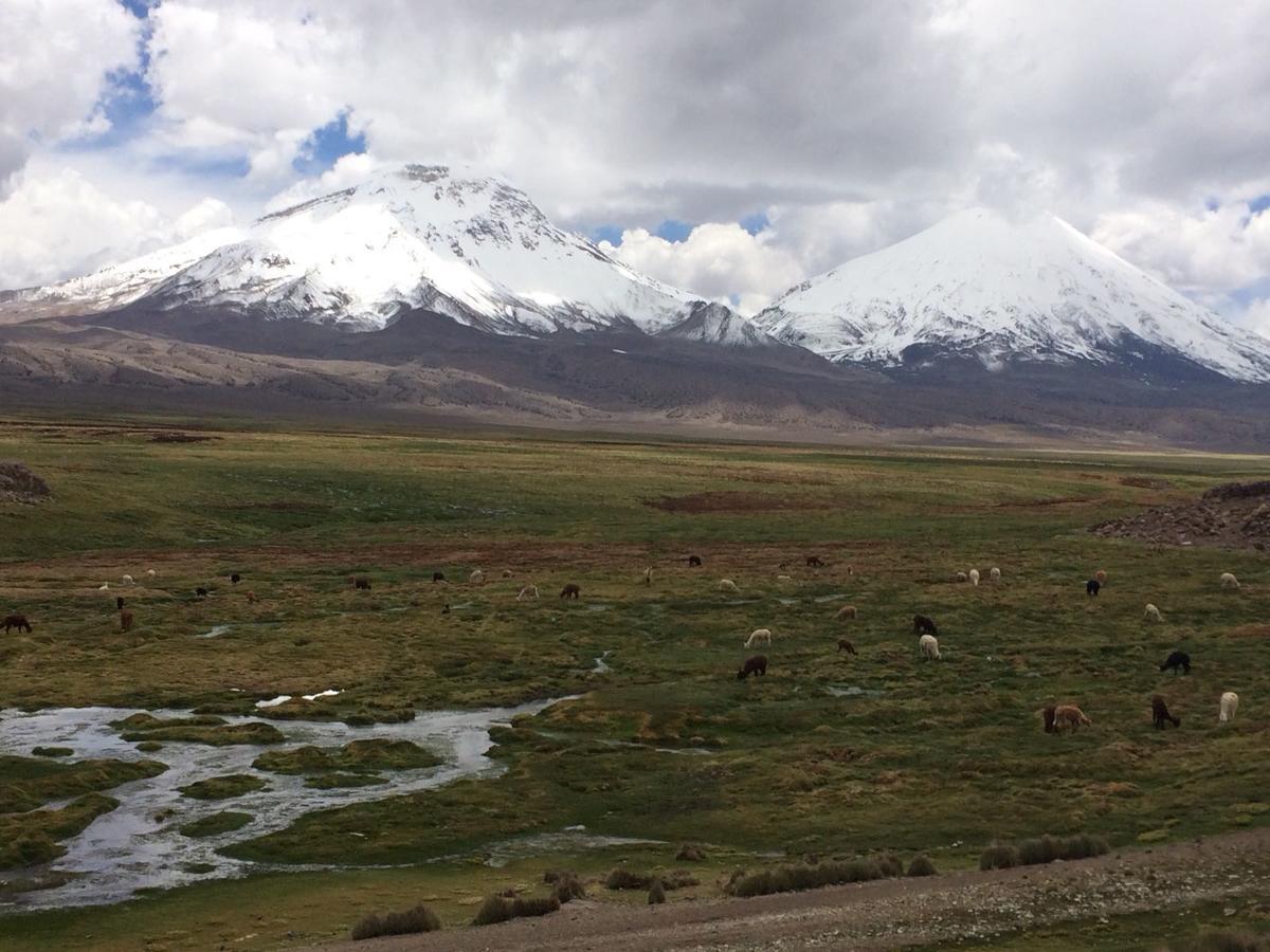 بوتري Hostal Vientos Del Altiplano المظهر الخارجي الصورة