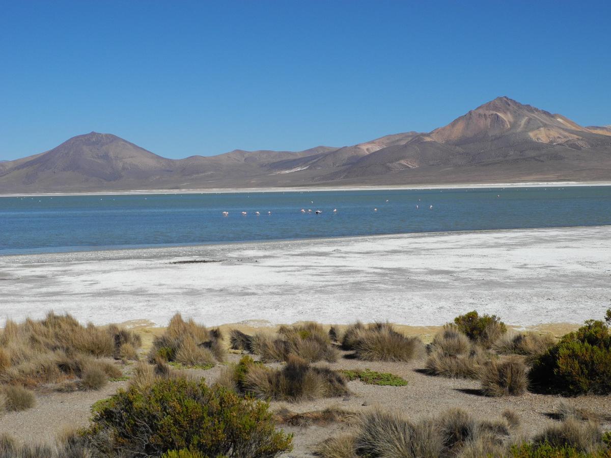 بوتري Hostal Vientos Del Altiplano المظهر الخارجي الصورة